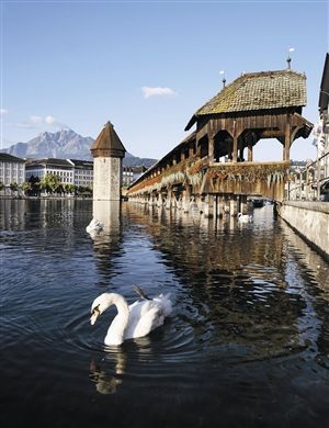 莫斯科人均绿地面积_人均占地面积咋求啊