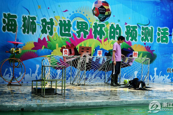 杭州海狮预测帝测中世界杯首战