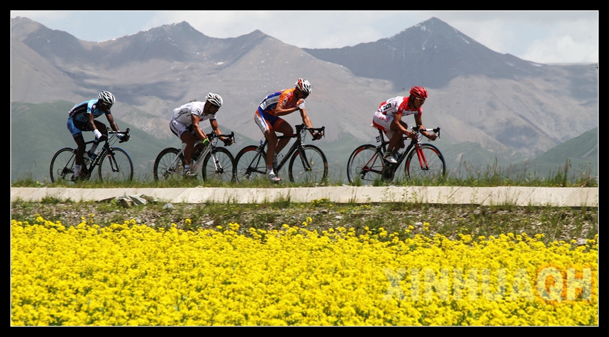 2014天佑德青稞酒杯第十三届环湖赛国际摄影