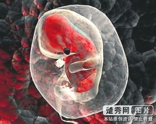 日本跨辈婴儿引伦理争议公媳之子应管谁叫爹?