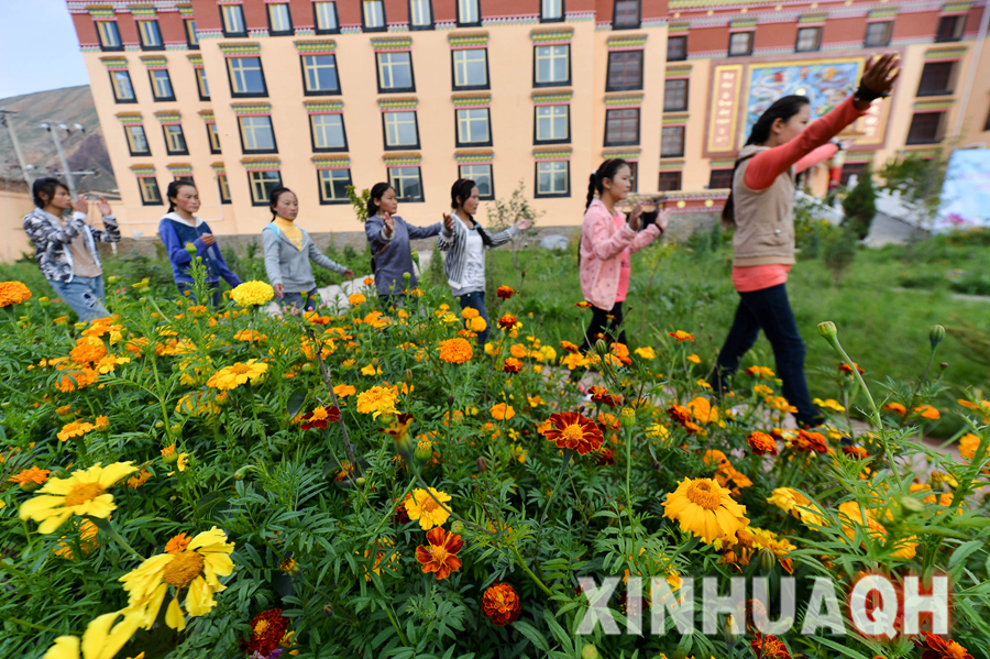 中国下一代教育基金会文化传承教育基金赴青海