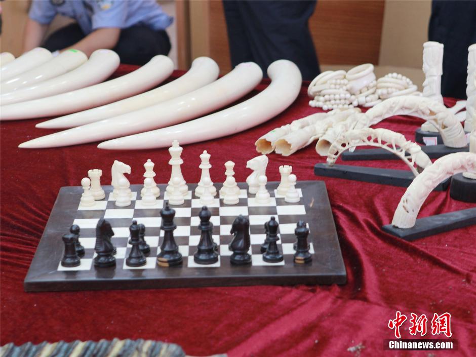 宁波海关查获走私珍贵动物制品 多为濒危野生