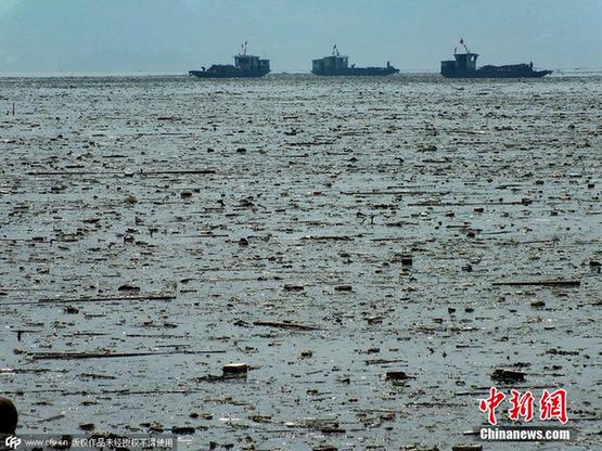 三峡水库连片漂浮垃圾带触目惊心 漂浮垃圾处