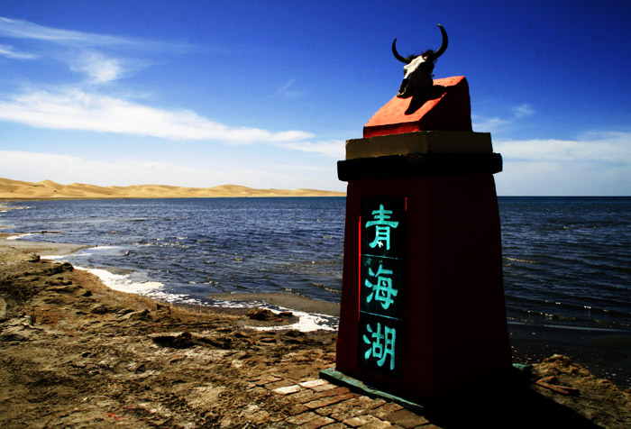 美丽青海湖,引来天鹅常做客