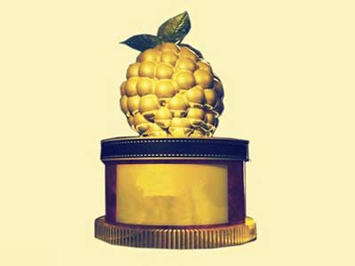 2014年金酸莓奖颁布 卡梅隆·迪亚兹素颜吓呆