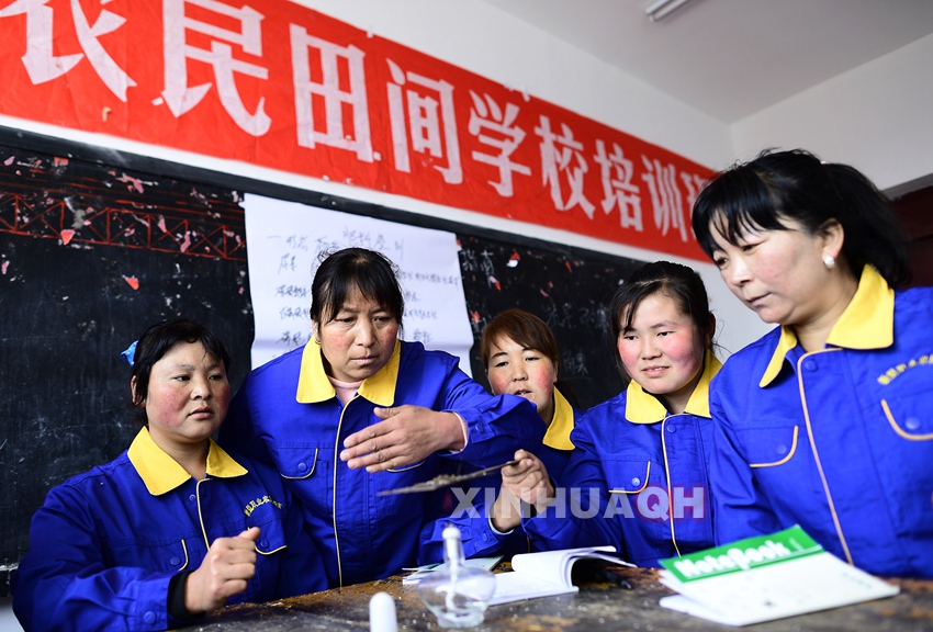 青海大力培育新型职业农民