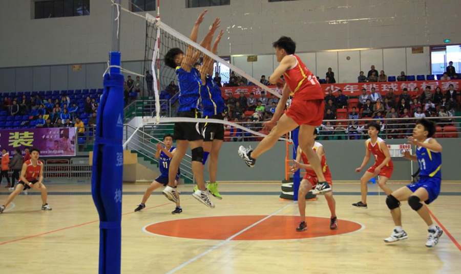 少年强则国强!2015年湖南省青少年排球赛落幕