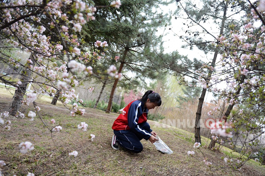 青海西宁开展清洁家园实践活动