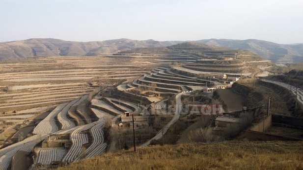 卖血引发亲情大战 父亲苦寻离家15年的儿子