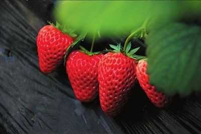 草莓农药残留或致癌 如何辨别化妆草莓
