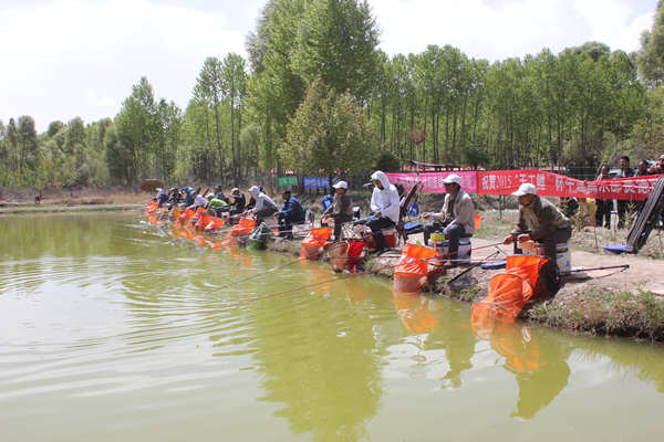 贵德县举办天工鲤杯休闲垂钓活动