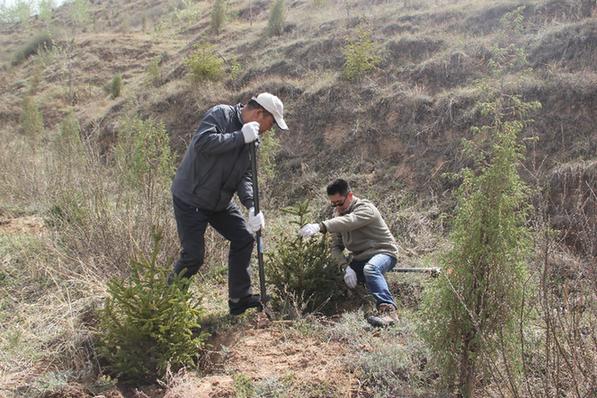 同仁地税为东山又添新绿