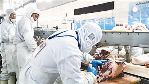 澳大利亚剔骨工年薪24万秒杀白领 盘点那些奇