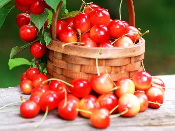 夏季吃什么水果能美白