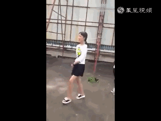 江西永新女初中生围殴一女生 下跪扇耳光 网友