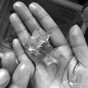 温州市场现大批 注胶虾 如何鉴别注胶虾,什么是