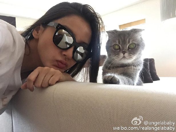 angelababy晒p图 技术欠佳遭吐槽