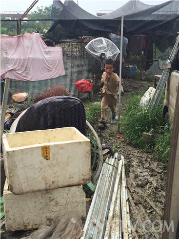 安徽<em>小兄妹</em>在南京讨生活 与狗同吃同住