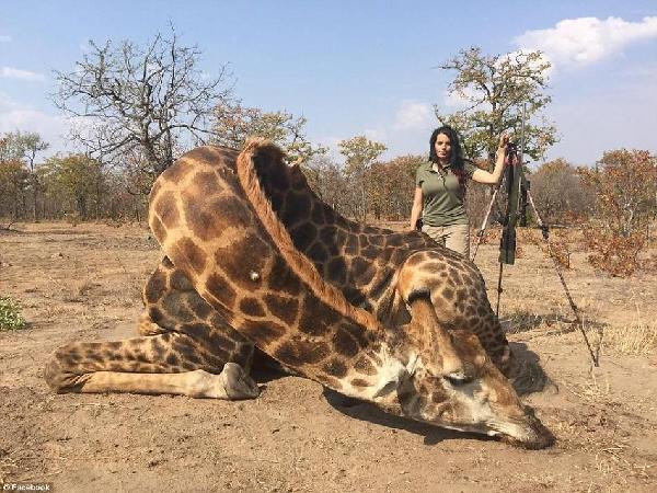 性感美女无视指责网晒猎杀动物照 打猎花费超