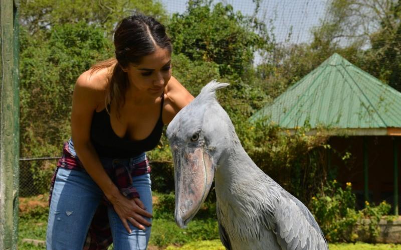 性感美女热爱动物 夜店跳舞赚取路费