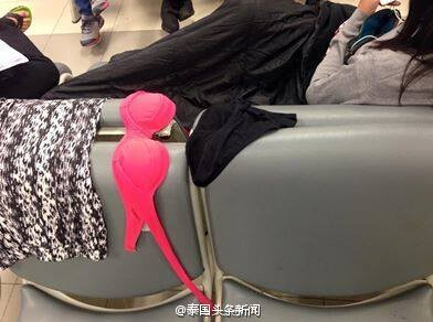 游客游览车上晒内衣 盘点游客的不文明行为