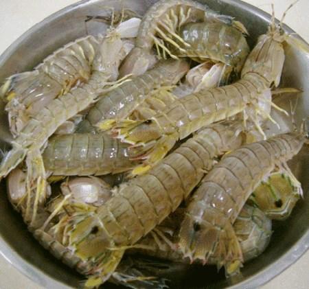 被濑尿虾扎破手指险送命 建议生吃海鲜时一定