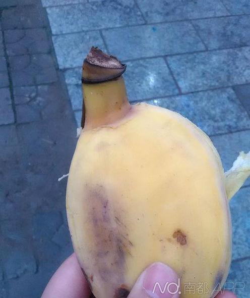 5岁<em>女童吃芭蕉噎死</em> 死者家属向赠蕉者索赔73万