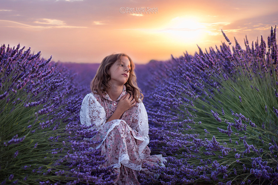 陶醉于紫色的浪漫 相映于熏衣草里的流年 看大