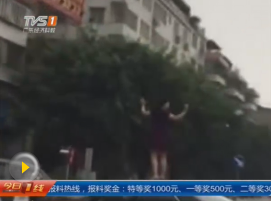 奇葩 大妈 闯红灯被惊  爬上车顶 翩翩 起舞 