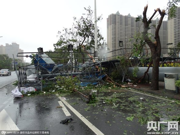广东湛江:强台风彩虹掠过 市区一片狼藉