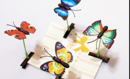 卖萌草吸引到蝴蝶 网友:萌草现在为什么就这么