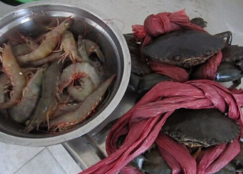 (组图) 青蟹绑31米绳  网友:这到底卖的是绳还是