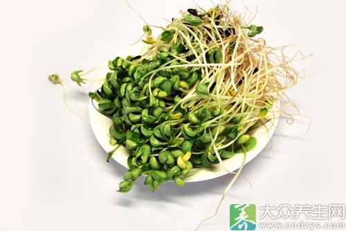 减肥新吃法绿豆牙营养餐一周瘦不停