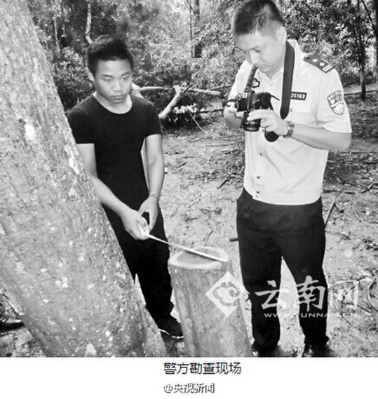 (图) 百万黄花梨被盗  网友:这么大的动静难道没