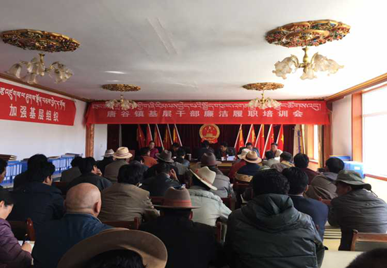 唐谷镇召开近期重点工作安排部署暨三基 建设