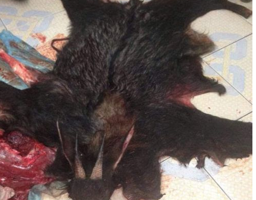 四不像? 老人自称捕到神兽  长着鹿角羊头牛蹄驴