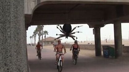 现实版美女与野兽  妹子偶遇巨型蜘蛛 差点出人