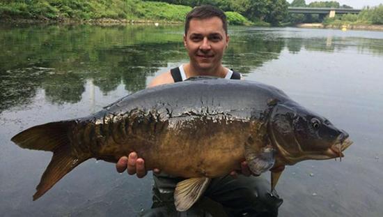 泉州市民捕获怪鱼被称清道夫 身披豹纹铠甲