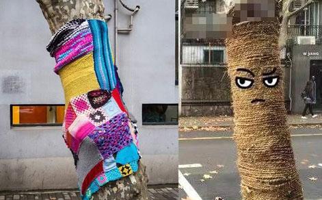  梧桐穿上萌毛衣  毛衣颜色五彩缤纷织法多种多