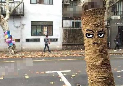 梧桐穿上萌<em>毛衣</em> <em>毛衣</em>颜色五彩缤纷<em>织法</em>多种多