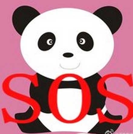 女子患病被迪拜土豪救 网友:土豪任性但很有爱