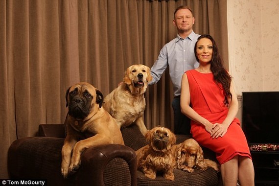 英国夫妇不忍爱狗死亡 67万去韩国克隆