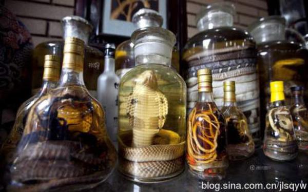 组图:人参泡酒8年开白花 揭秘人参泡酒有什么