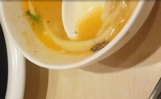 好恶心!郑州一孕妇饭店吃出蟑螂 店主:蟑螂是特色