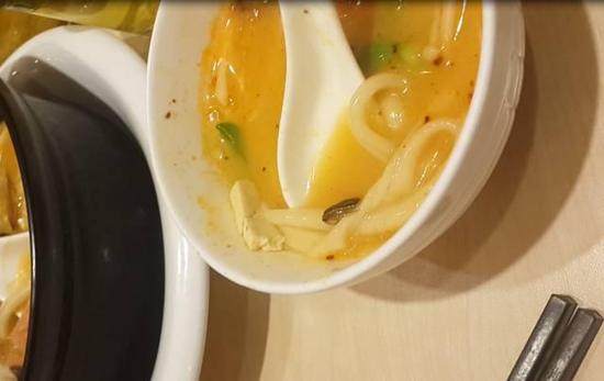 好恶心!郑州一孕妇饭店吃出蟑螂 店主:蟑螂是特色