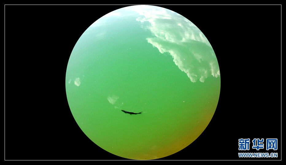 2015环青海湖国际公路自行车赛天佑德青稞酒