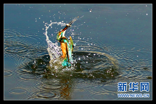 2015环青海湖国际公路自行车赛天佑德青稞酒