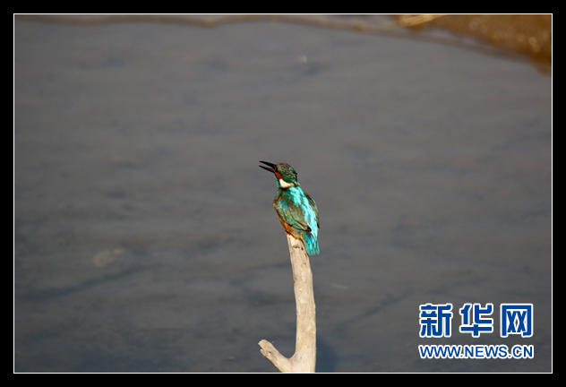 2015环青海湖国际公路自行车赛天佑德青稞酒