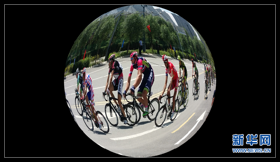 2015环青海湖国际公路自行车赛天佑德青稞酒