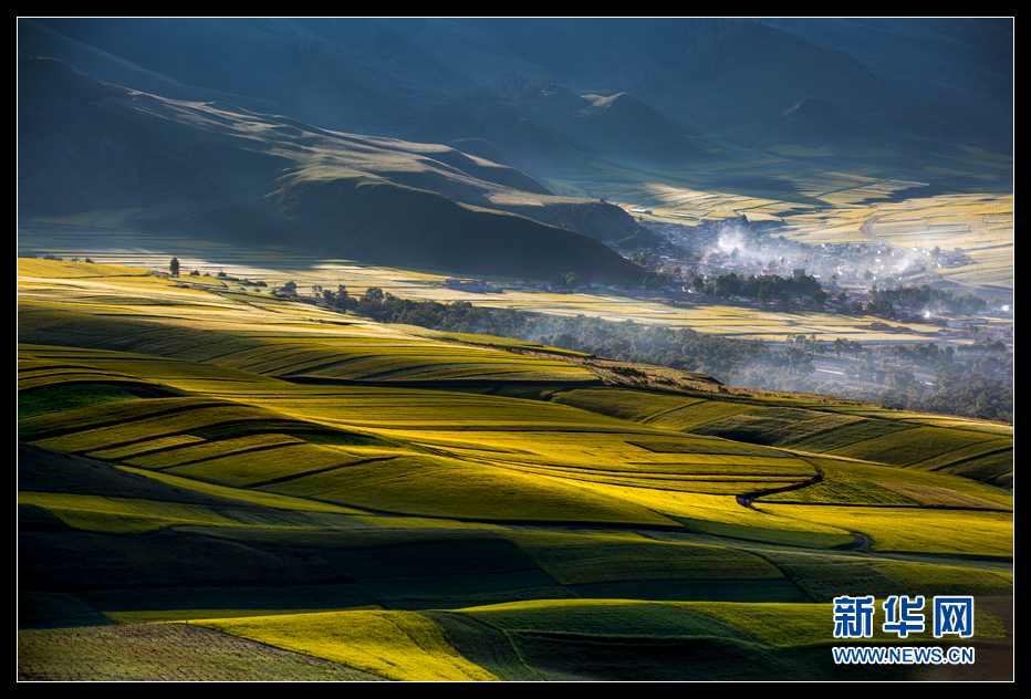 2015环青海湖国际公路自行车赛天佑德青稞酒